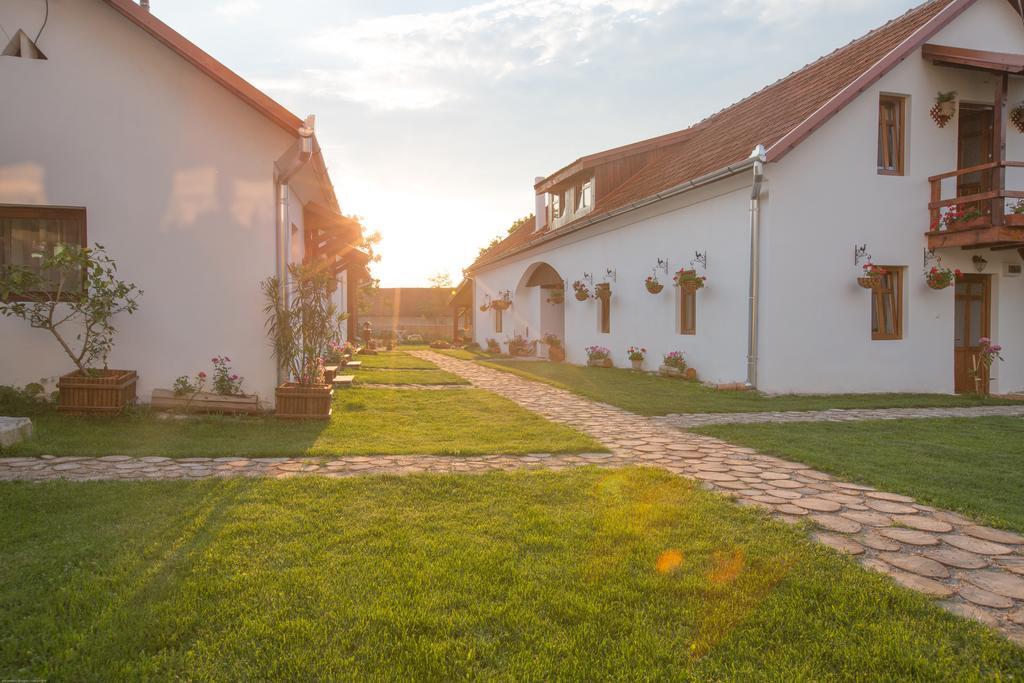 Pensiunea Casa Canda Salasu de Sus Exterior photo