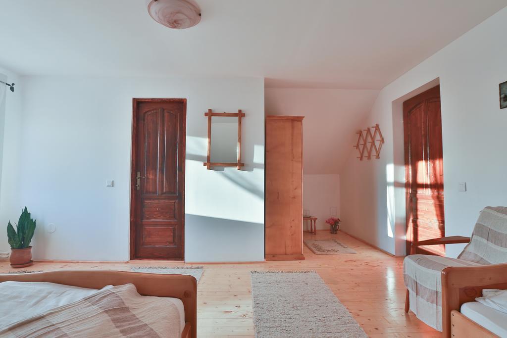 Pensiunea Casa Canda Salasu de Sus Room photo
